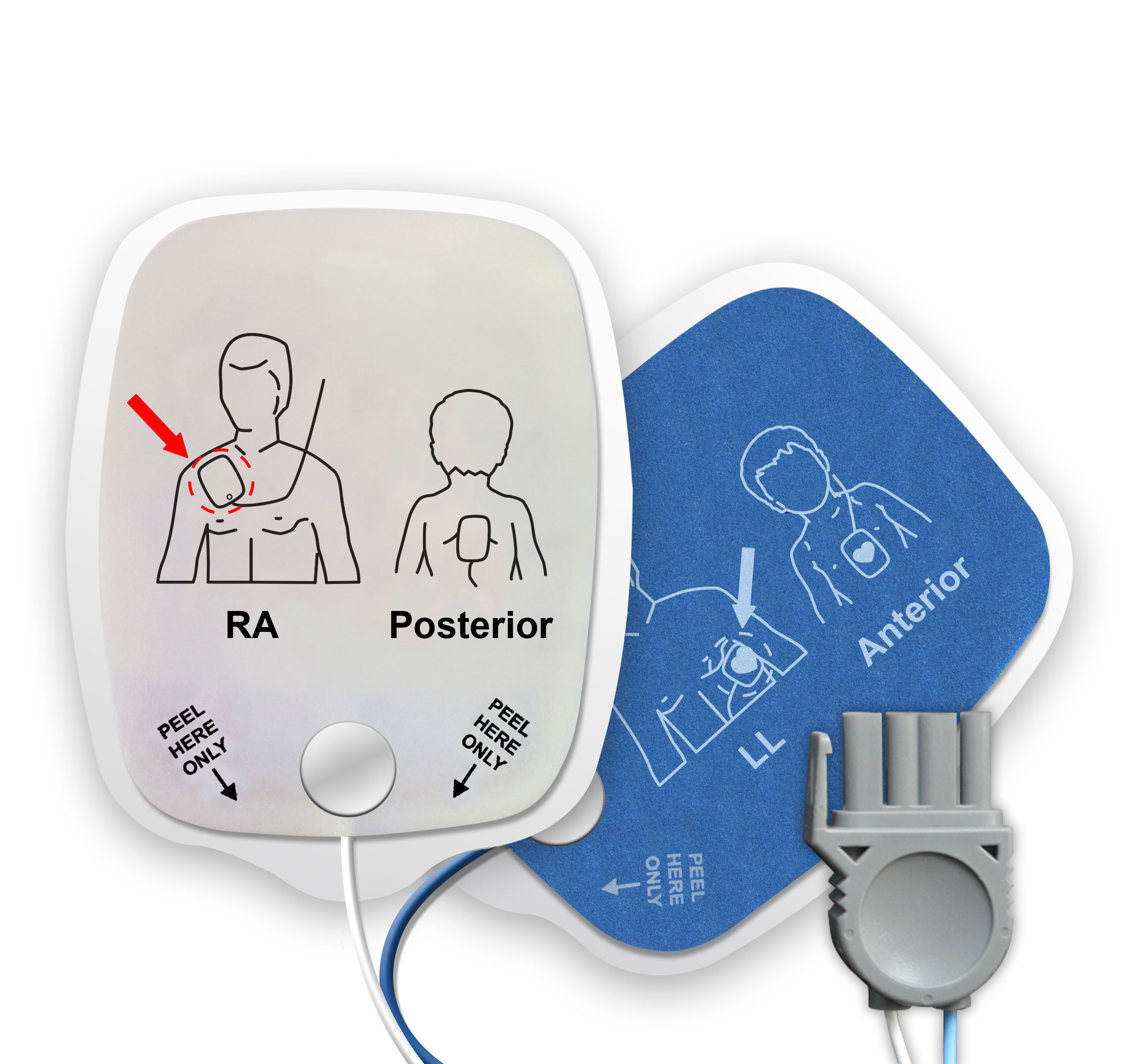 97-DEFIB F/G T100AC-PHYSIO (D313)