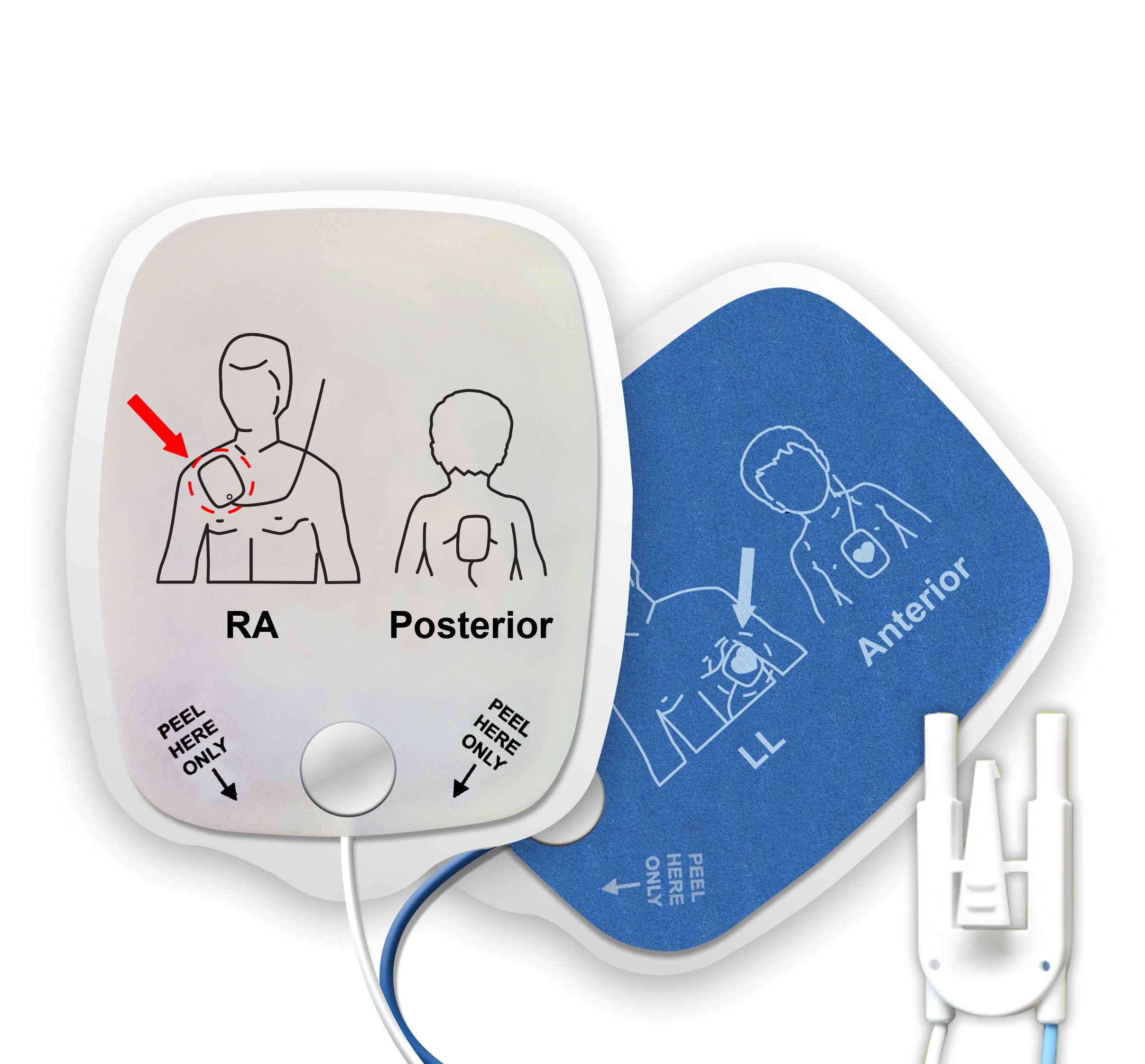 97-DEFIB F/G T100AC-ZOLL (D312)